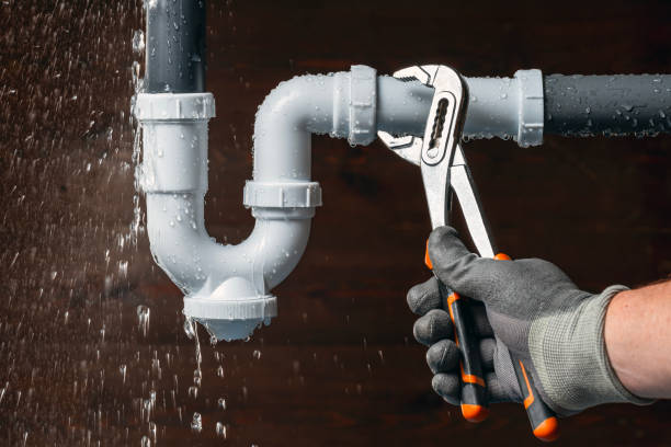 Professional Plumbing technician working in Harris, MN